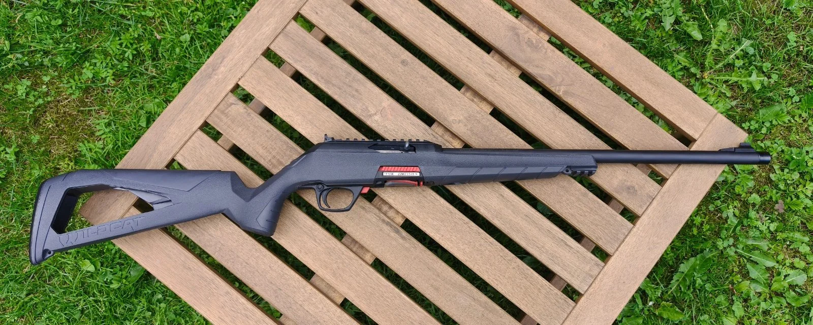 JAK NOWY Winchester Wildcat .22 lr