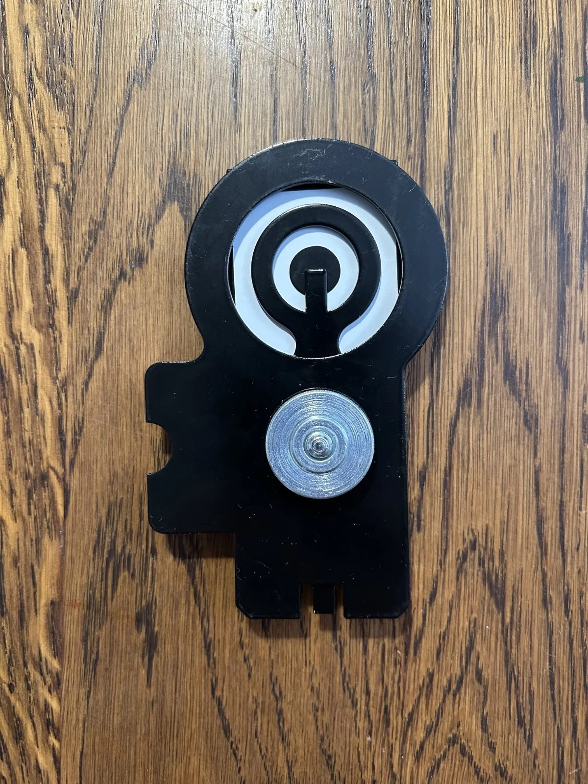 Muszka pokazowa - przyrząd szkoleniowy