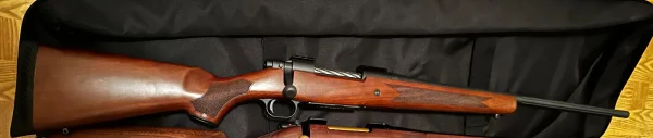 Mossberg patriot 30-06