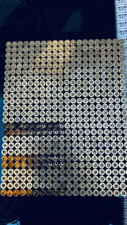 1000 sztuk łusek 9Para S&B