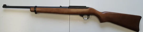 Ruger 10/22